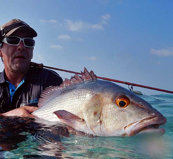Fliegenfischen auf große Bohar Snapper im Surf